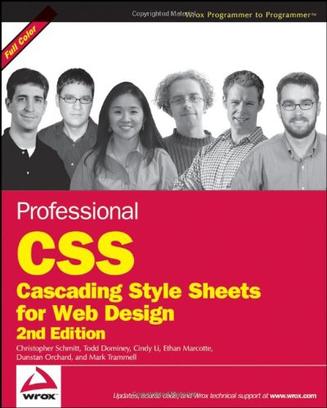 Professional CSS