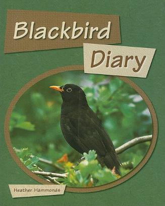 Blackbird Diary