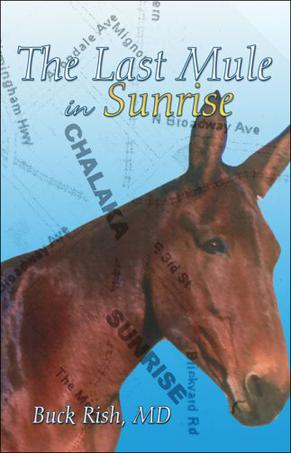 The Last Mule in Sunrise