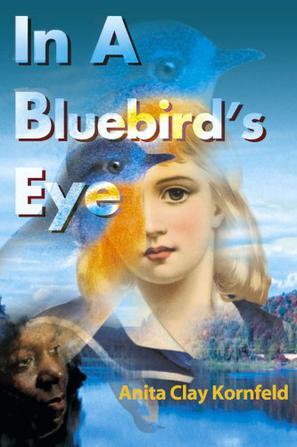 In a Bluebird's Eye