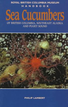 Sea Cucumbers of British Columbia