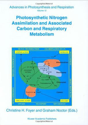 Photosynthetic Nitrogen Assimilation and Associated Carbon and Respiratory Metabolism
