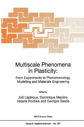 Multiscale Phenomena in Plasticity
