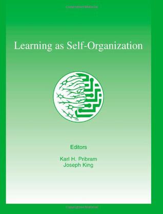 Learning as Self-organization