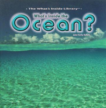 What's Inside the Ocean?