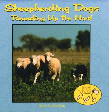 Sheepherding Dogs - Rounding up the Herd
