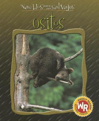 Ositos = Little Bears