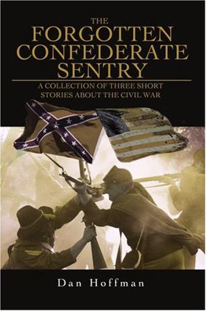 The Forgotten Confederate Sentry