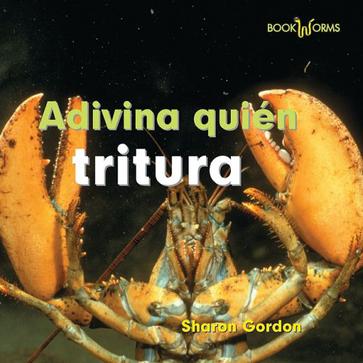 Adivina Quien Tritura = Guess Who Snaps