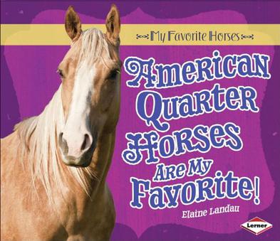 American Quarter Horses Are My Favorite!