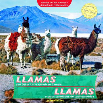 Llamas and Other Latin American Camels/Llamas y Otros Camelidos de Latinoamerica