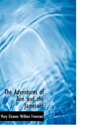 The Adventures of Ann and the Jamesons