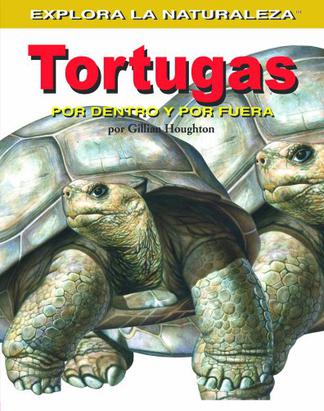 Tortugas
