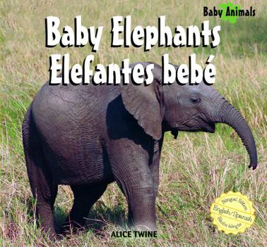 Baby Elephants/Elefantes Bebe