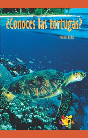 Spa-Spa-Conoces Las Tortugas (