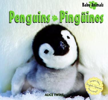 Penguins/Pinguinos
