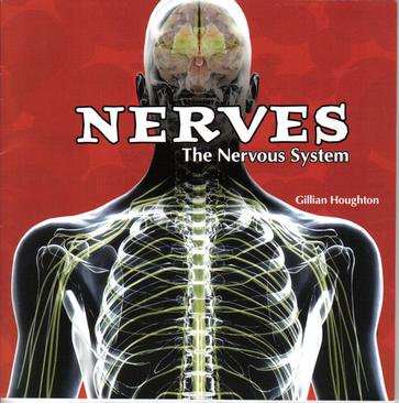 Nerves