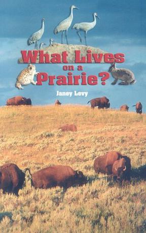 What Lives on a Prairie?