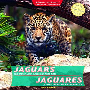 Jaguars and Other Latin American Wild Cats =