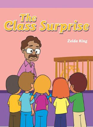 Class Surprise