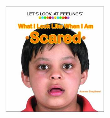 What I Look Like When I Am Scared