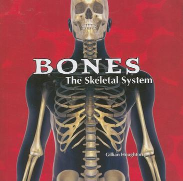 Bones