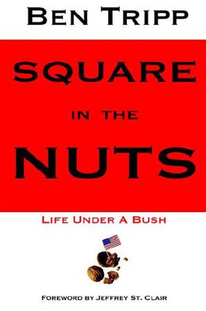 Square in the Nuts