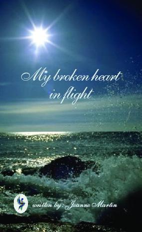 My Broken Heart in Flight