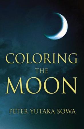 Coloring the Moon