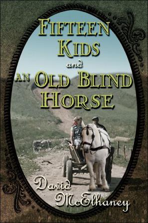 Fifteen Kids and An Old Blind Horse