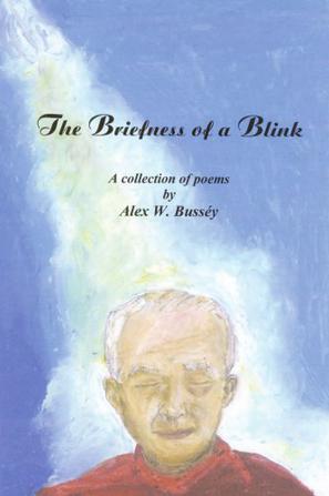 The Briefness of a Blink