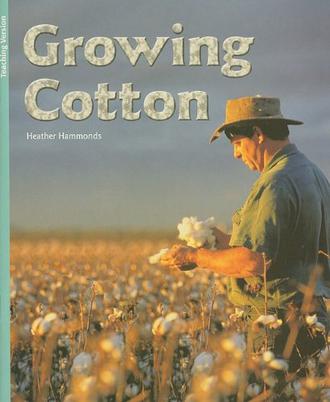 Growing Cotton