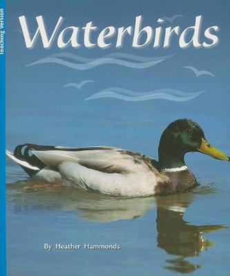 Waterbirds