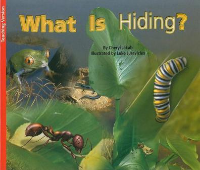 What Is Hiding?