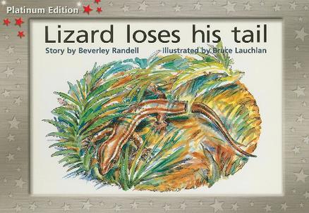 Lizard Loses His Tail
