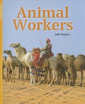 Animal Workers