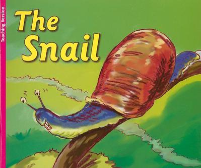 The Snail