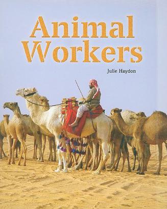 Animal Workers