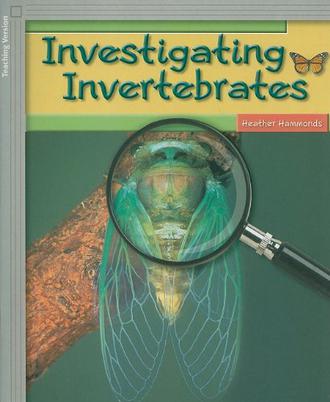 Investigating Invertebrates