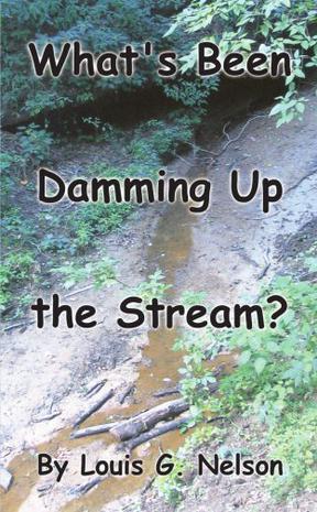 What's Been Damming Up the Stream?