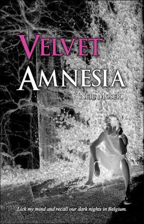 Velvet Amnesia