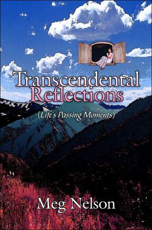 Transcendental Reflections