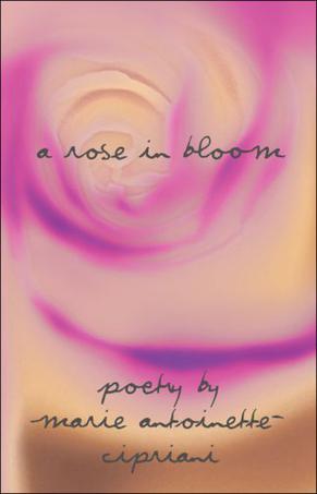 A Rose in Bloom