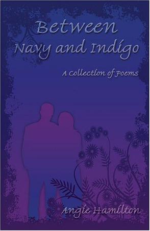 Between Navy and Indigo