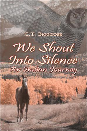 We Shout into Silence