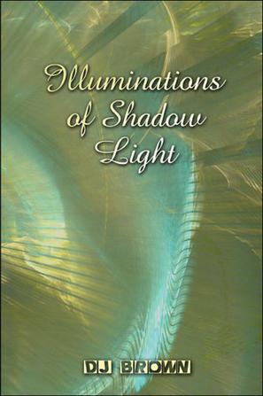 Illuminations of Shadows Light