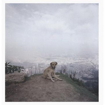 Dog Days, Bogotá