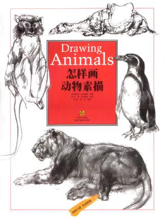 怎样画动物素描