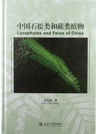 中国石松类和蕨类植物