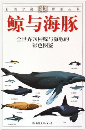 鲸与海豚